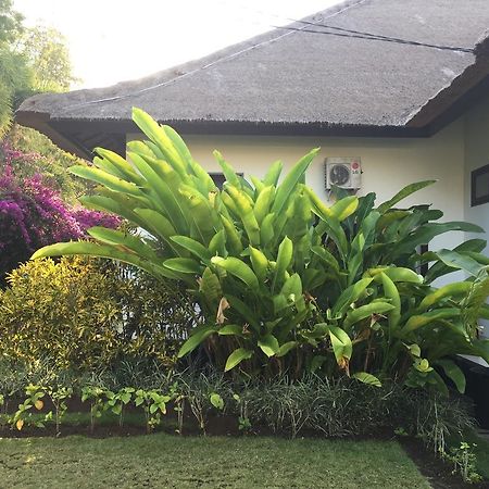 Villa Danison Umeanyar Exteriör bild