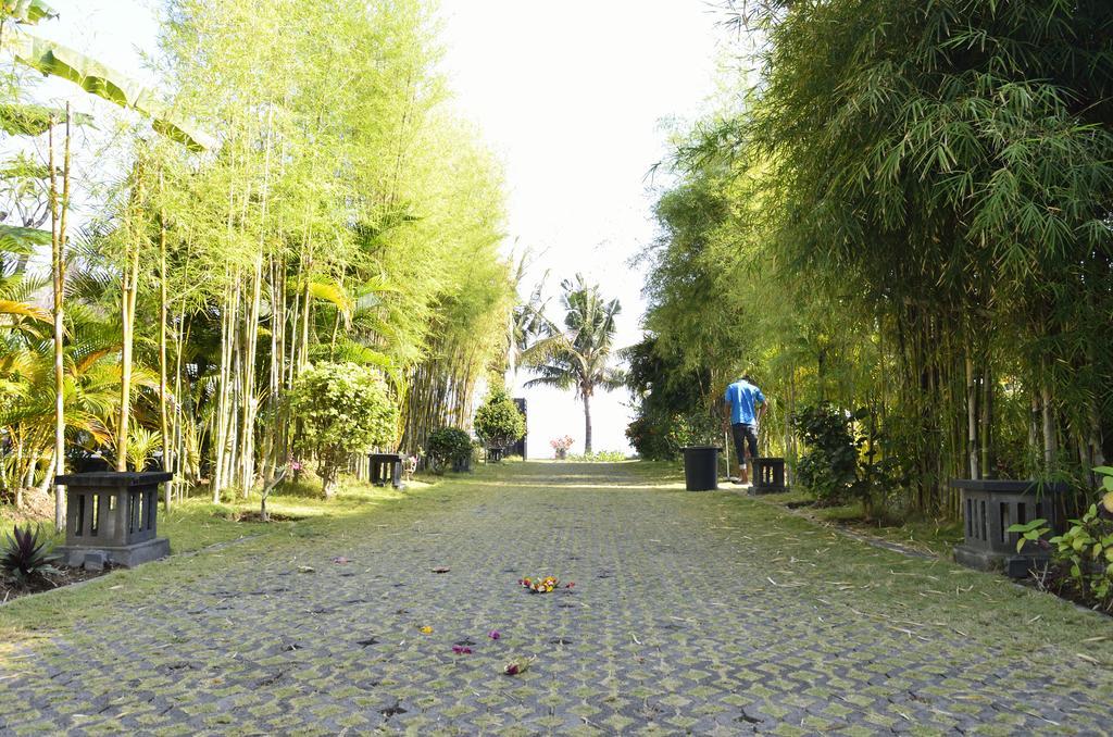 Villa Danison Umeanyar Rum bild