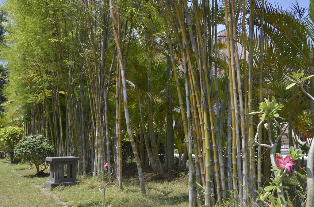 Villa Danison Umeanyar Rum bild
